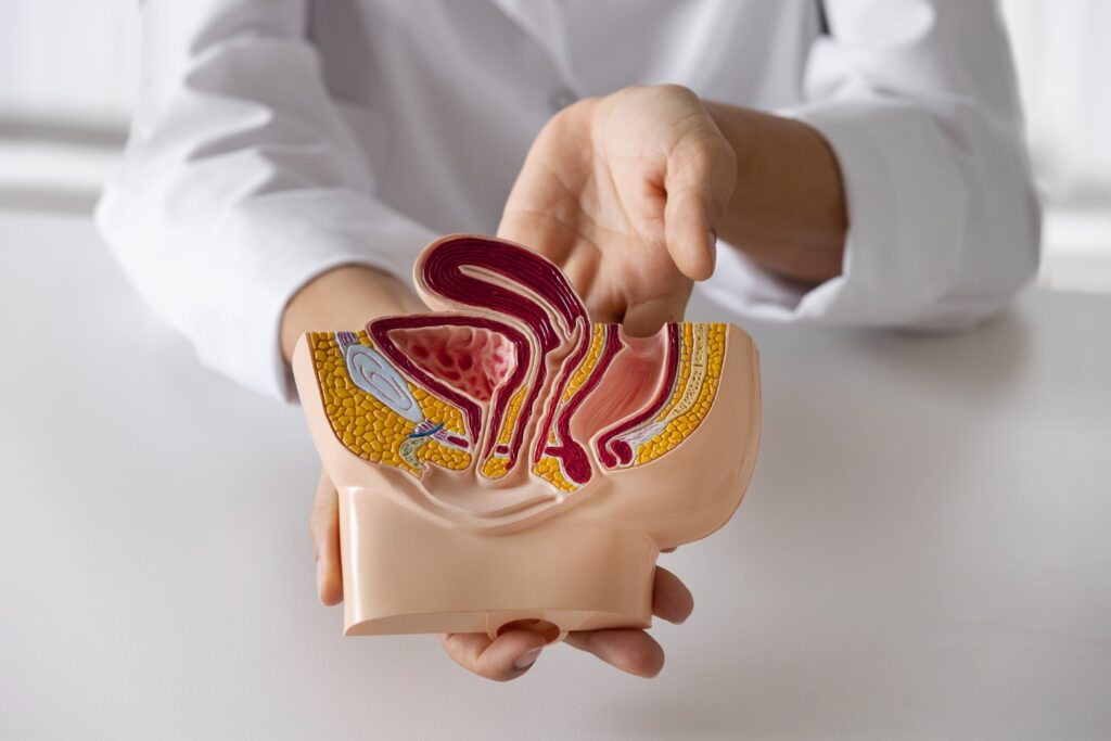 Embolisation de la prostate