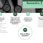 Paces : programme complet, conseils et alternatives après la réforme récente