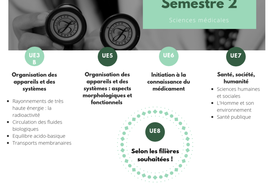 Paces : programme complet, conseils et alternatives après la réforme récente
