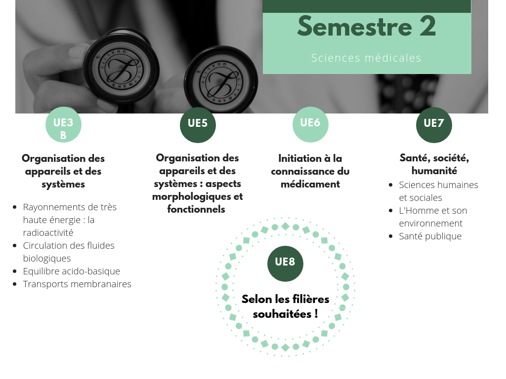 Paces : programme complet, conseils et alternatives après la réforme récente